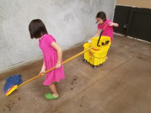 Bailey and Marley helping keep the tasting room floor nice and clean!